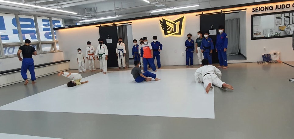 세종유도관 이미지