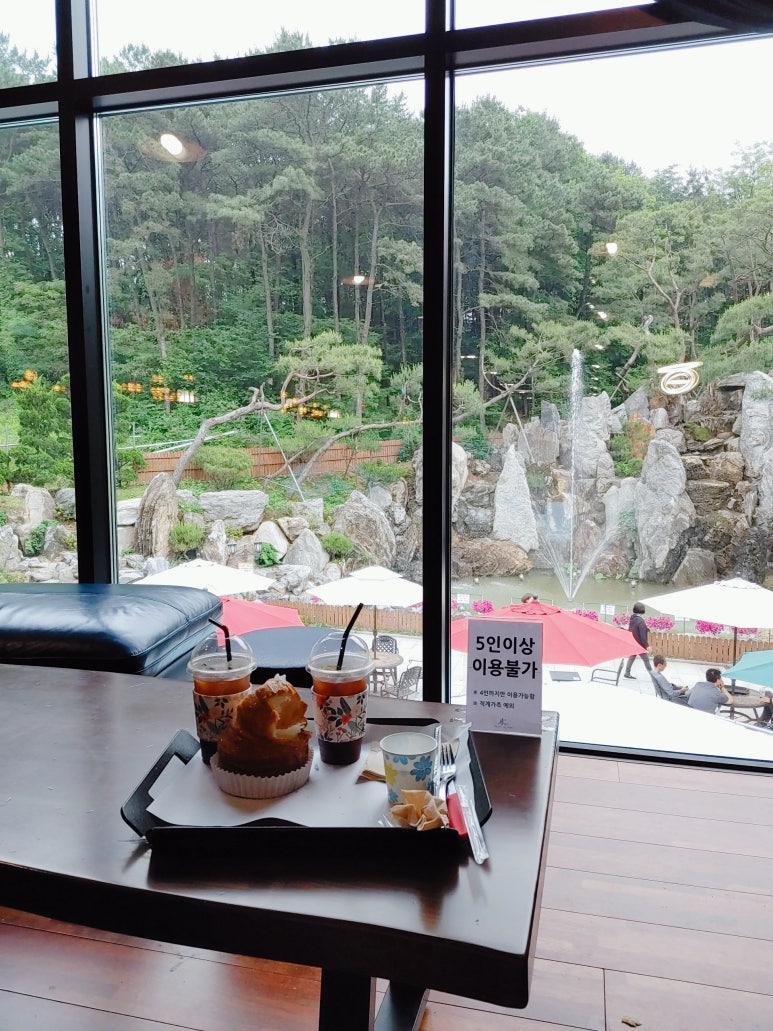 델피노투어 이미지