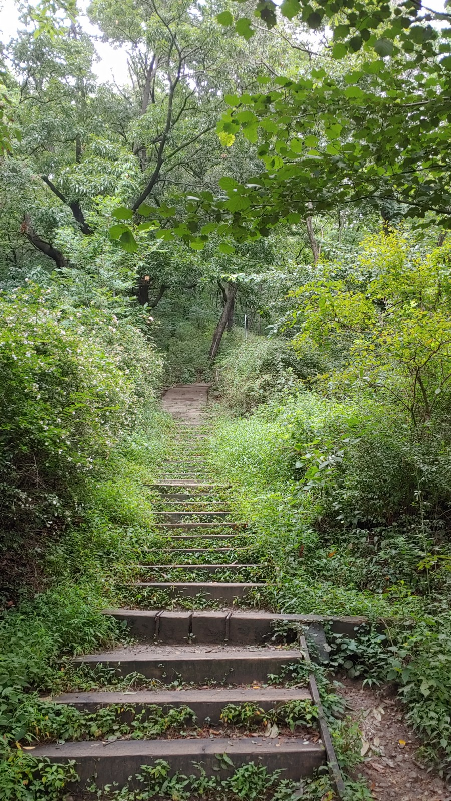 힐링행정사사무소 이미지