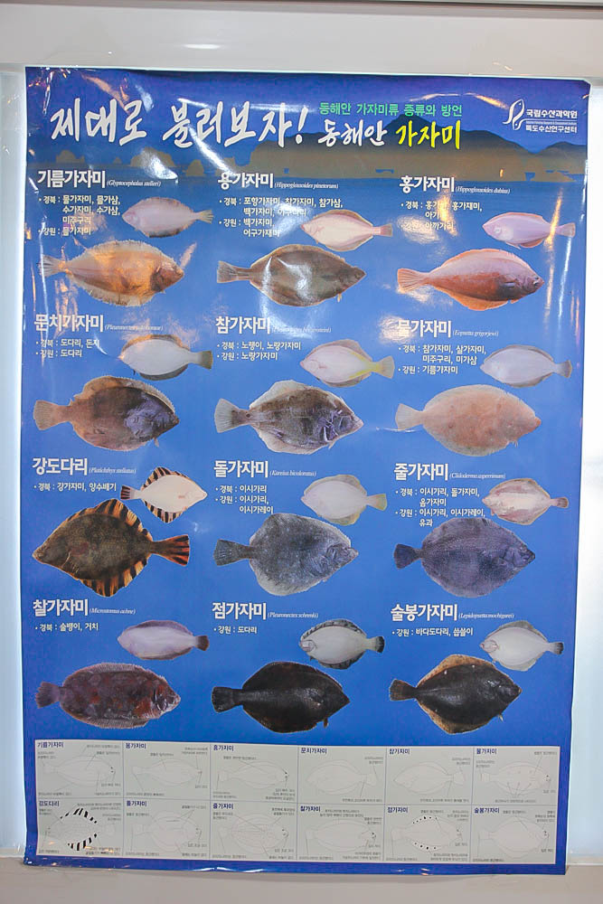 용호동횟집 이미지