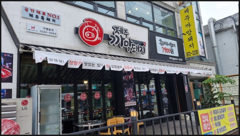 제주까망돼지 이미지