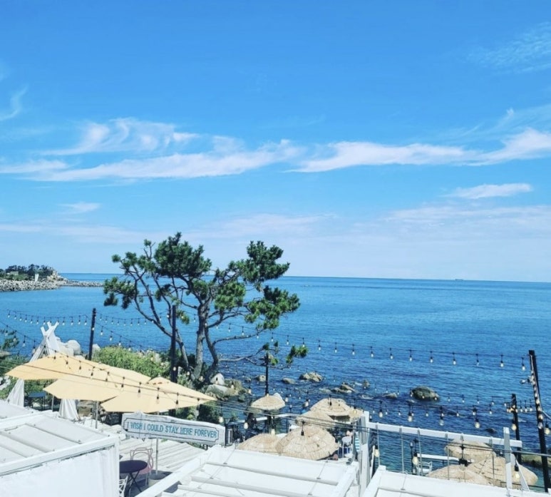 다담카페(cafe) 이미지