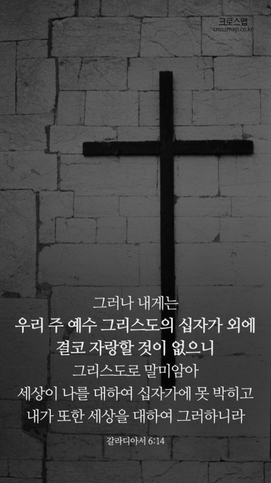 새창조 이미지