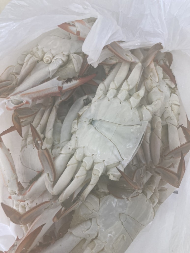 예린찜 이미지