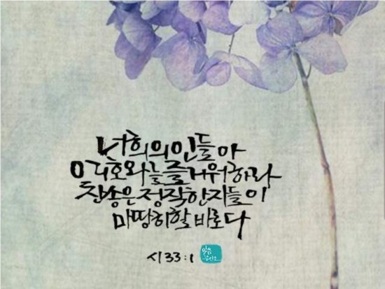 바로다 이미지
