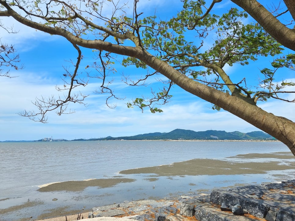 Gunheon Mudflat Experience Center