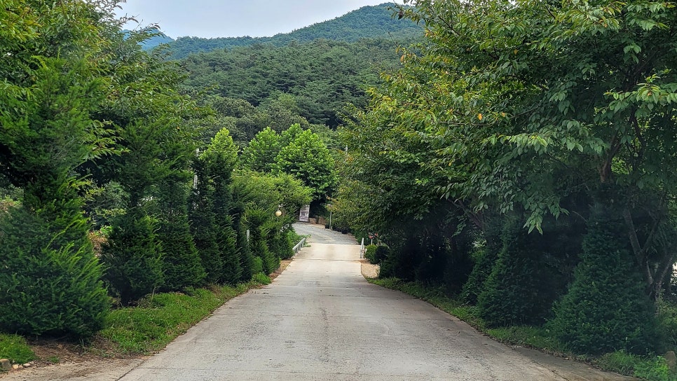 화양원탑관광농원 이미지