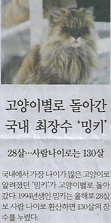 갈매기나라 이미지