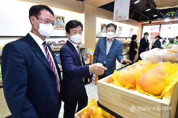 신선청과야채 이미지