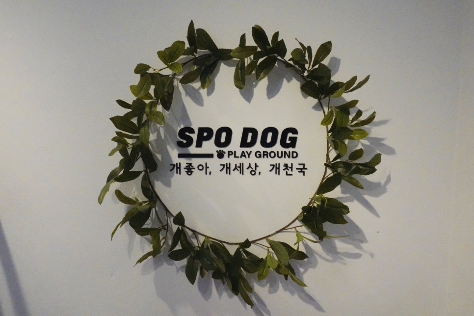 스포독 이미지