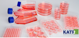 세포 배양 배지(Cell culture media) – 한국분석시험연구원