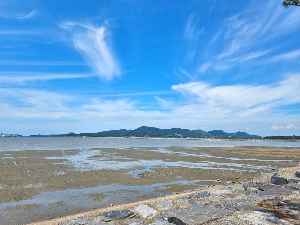Gunheon Mudflat Experience Center