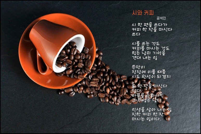 동그라미다방 이미지