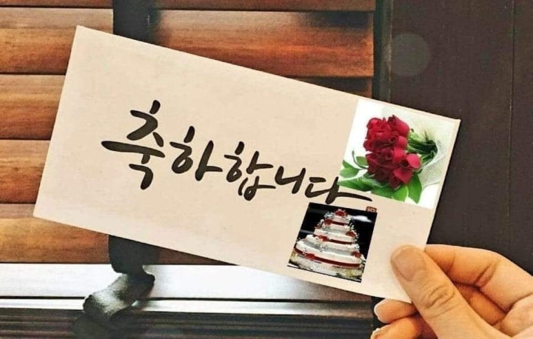 천지본올파워코리아 이미지