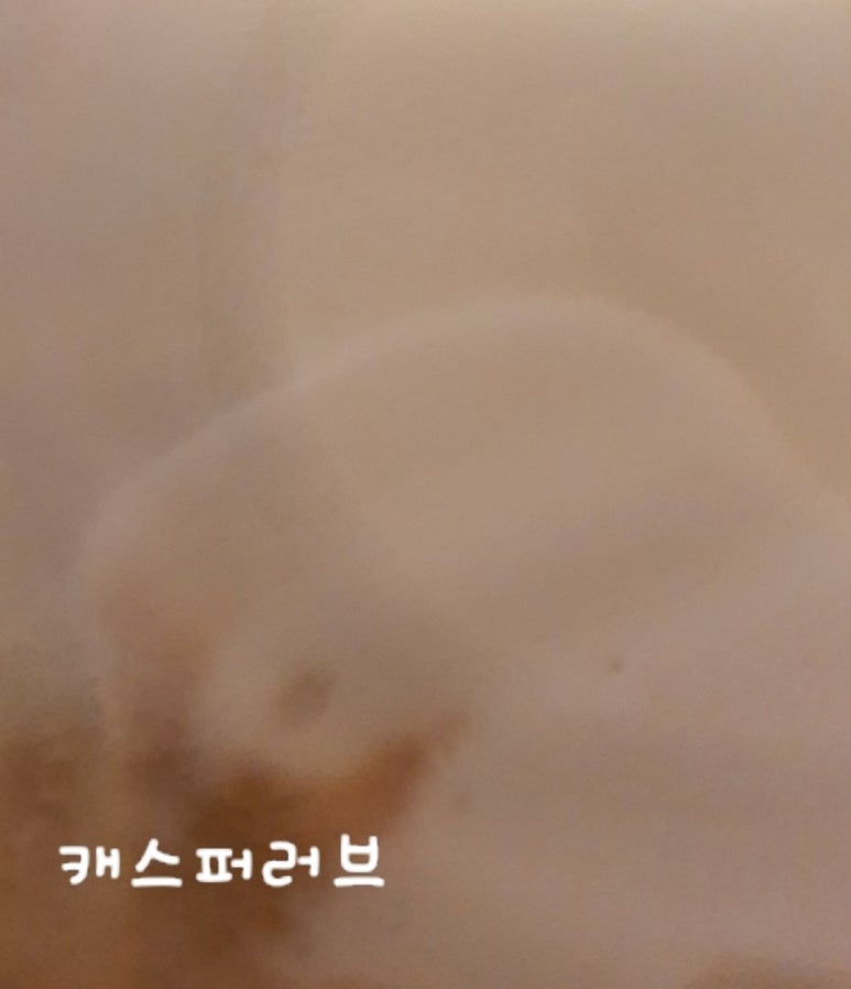 엔제리너스 대구광장점 이미지