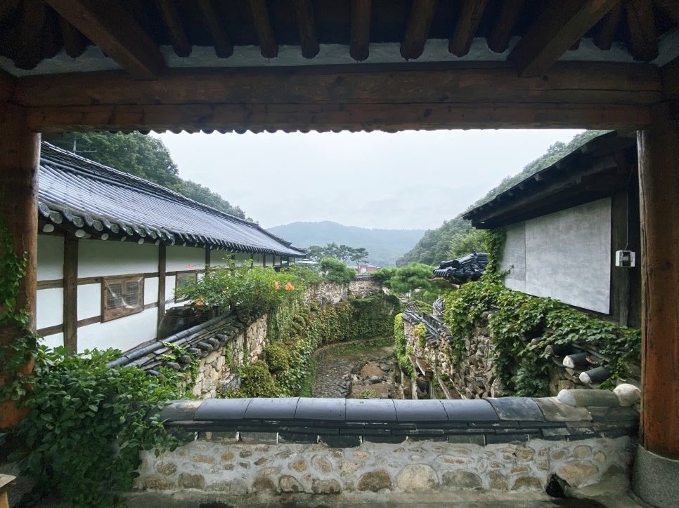 비39까페 이미지