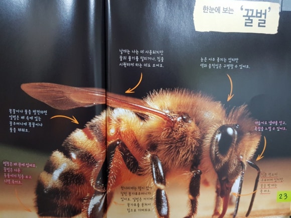 주제통합독서센터 이미지