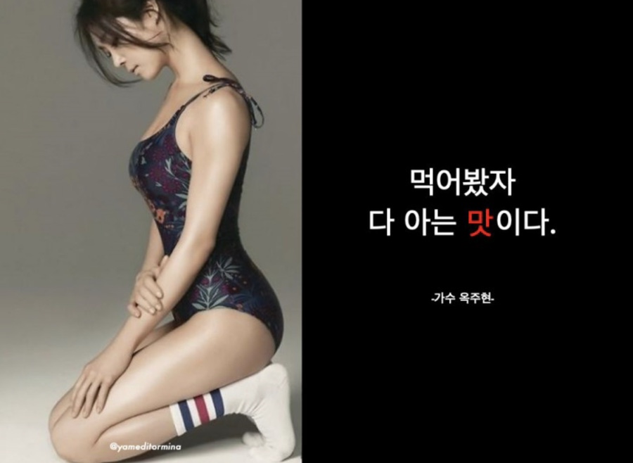 뉴핏 이미지