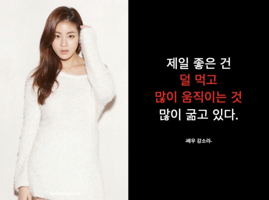 뉴핏 이미지