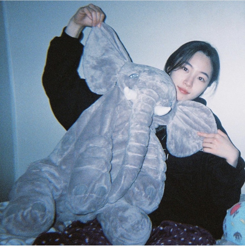 디피라인 이미지