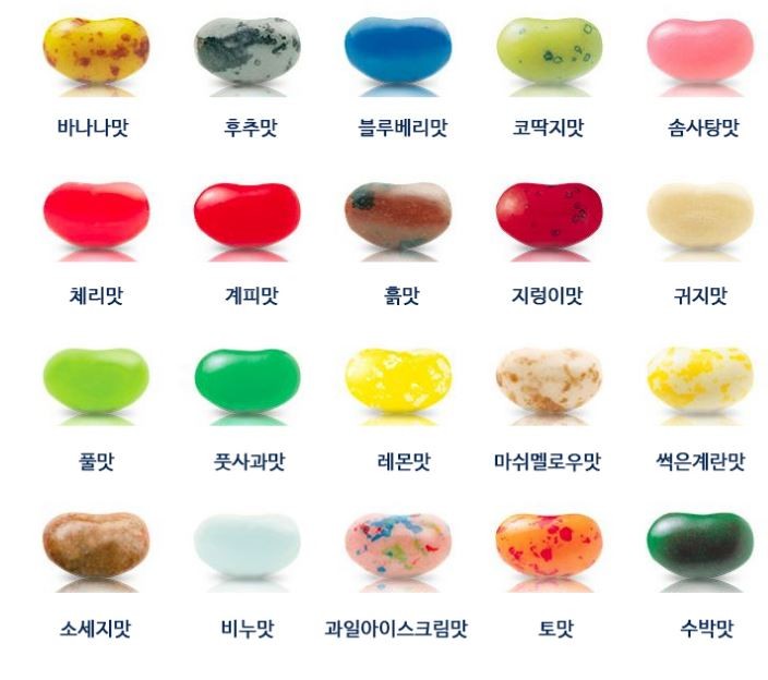 젤리빈스튜디오 이미지