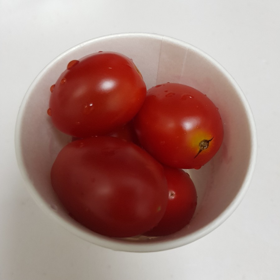 세진농원 이미지