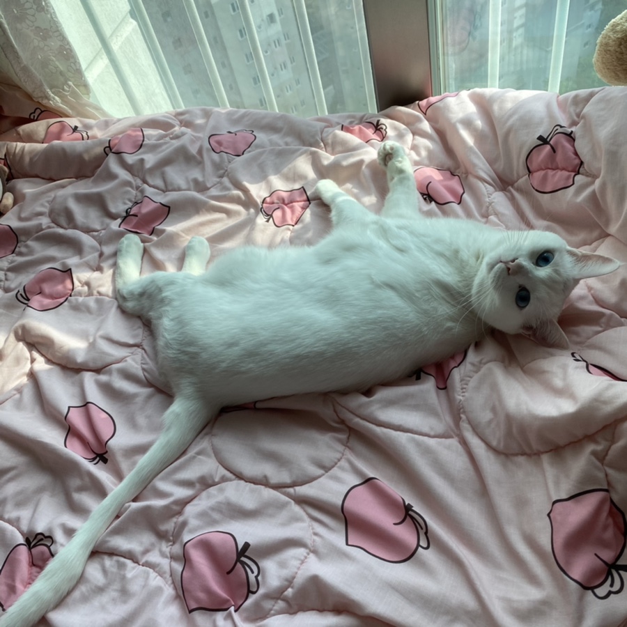 올데이파스타 이미지