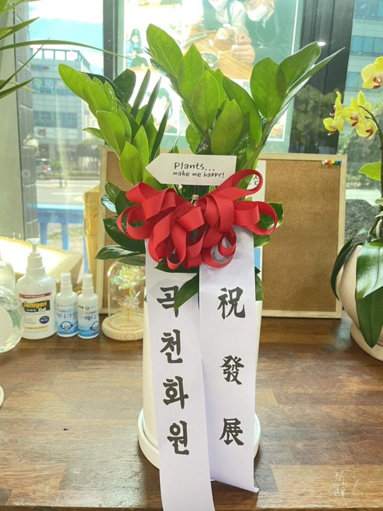 곡천화원 이미지