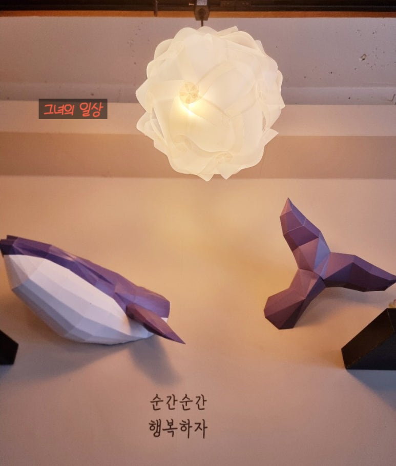 달밤고래 이미지