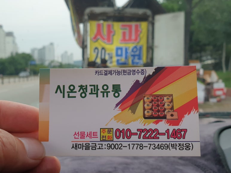 시온청과 이미지