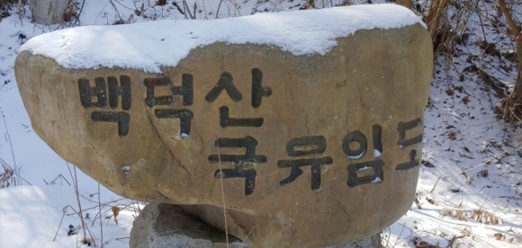 평창카센타 이미지