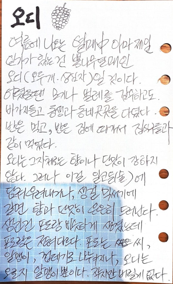 작지만작지않은 이미지