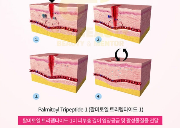 씨에스리페어 이미지