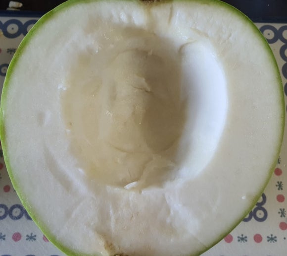 박 이미지