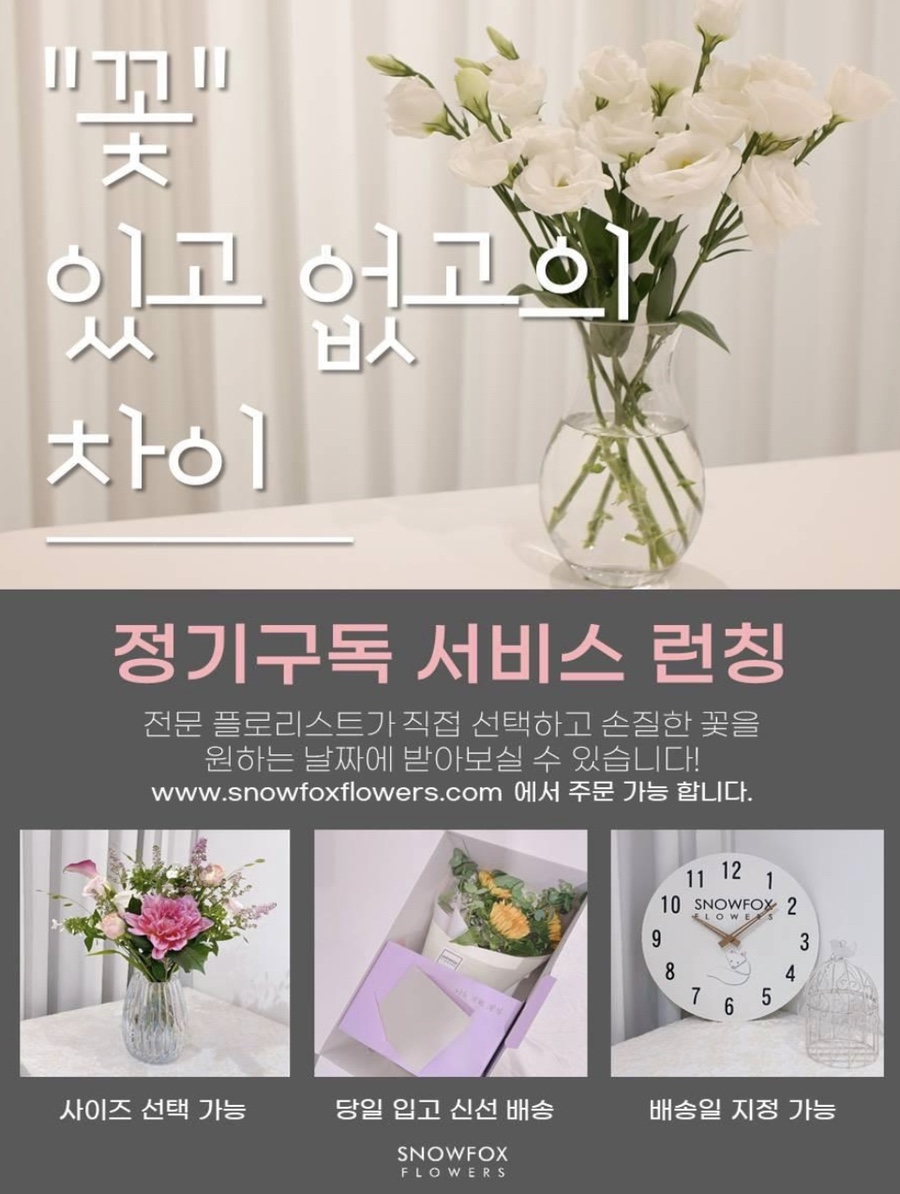 스노우폭스플라워 이미지