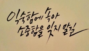 주먹고기 이미지