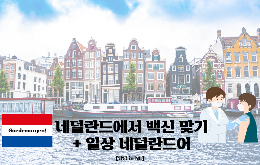 (주)더치인 이미지