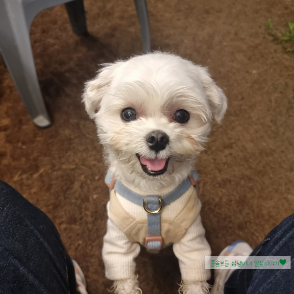제이그라운드 이미지