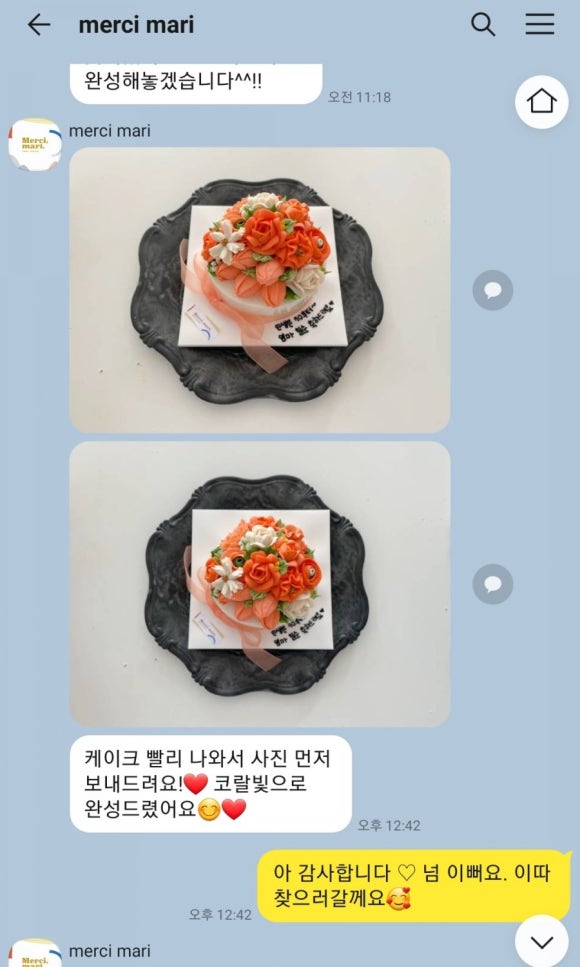 메르시마리 이미지
