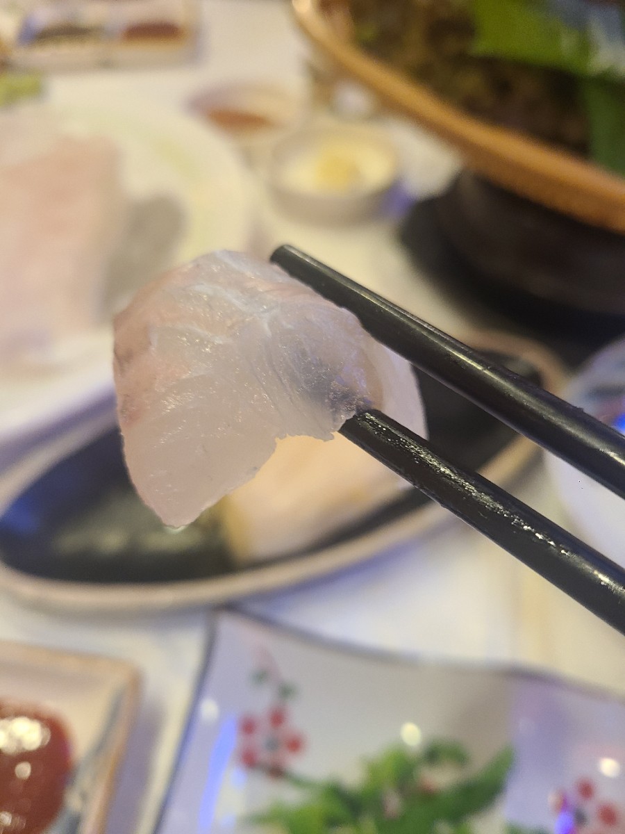 산오징어나라 이미지