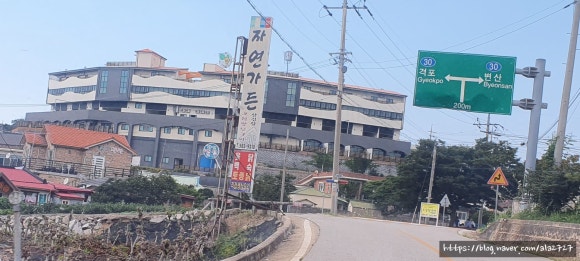 부안트리 이미지