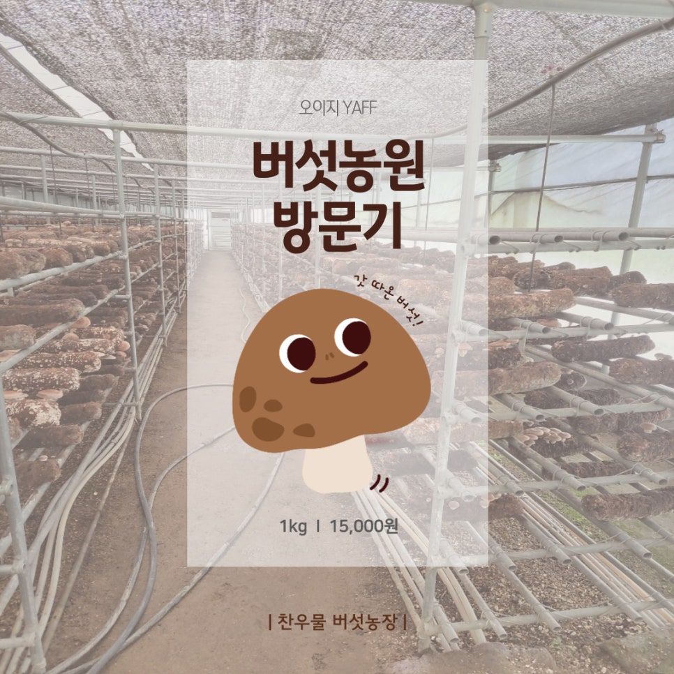 찬우물버섯농장 이미지