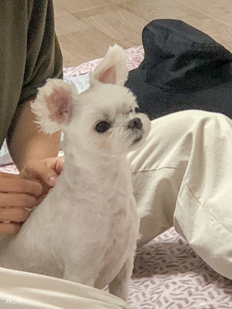 마운틴축산 이미지