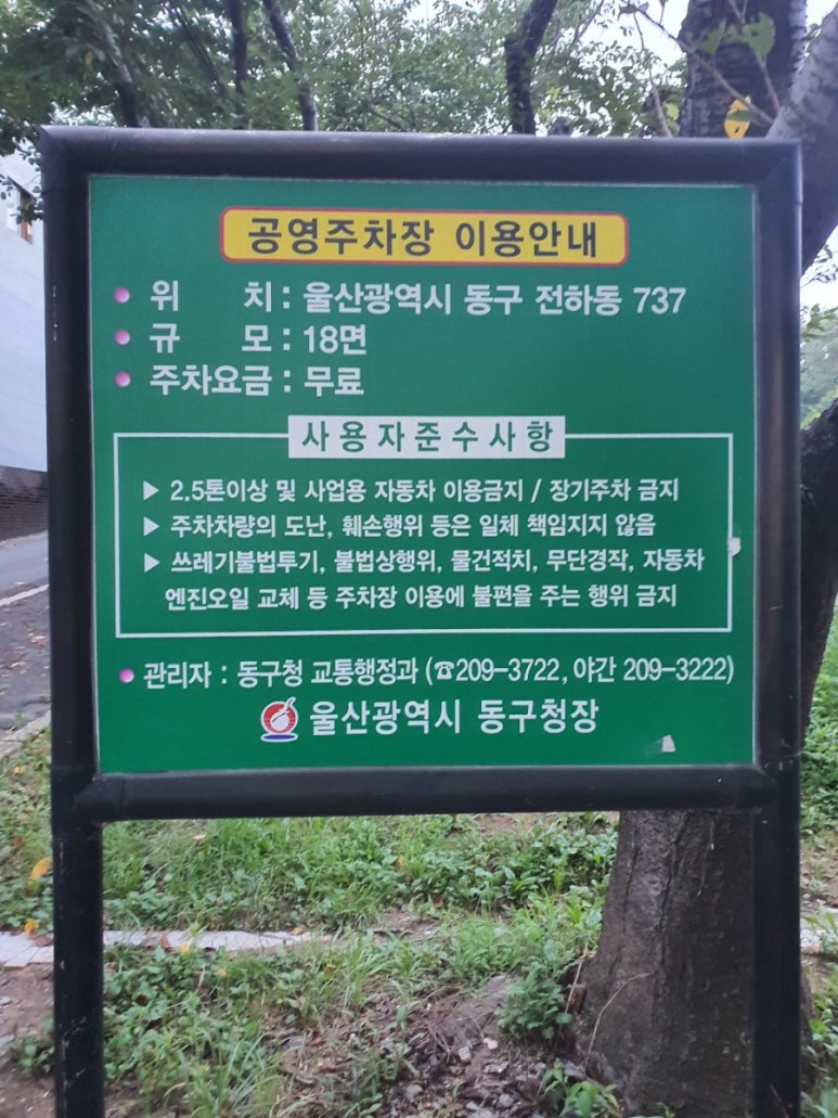 당신에게전해질꽃 이미지