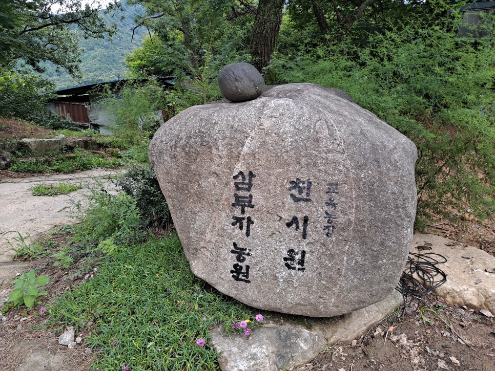 천시원교육농장 이미지