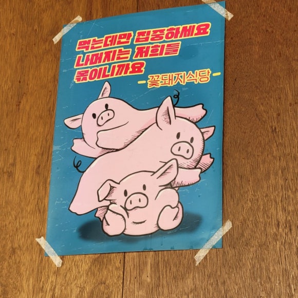 꽃돼지 이미지