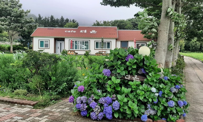 식당늘푸른분식늘푸른 이미지