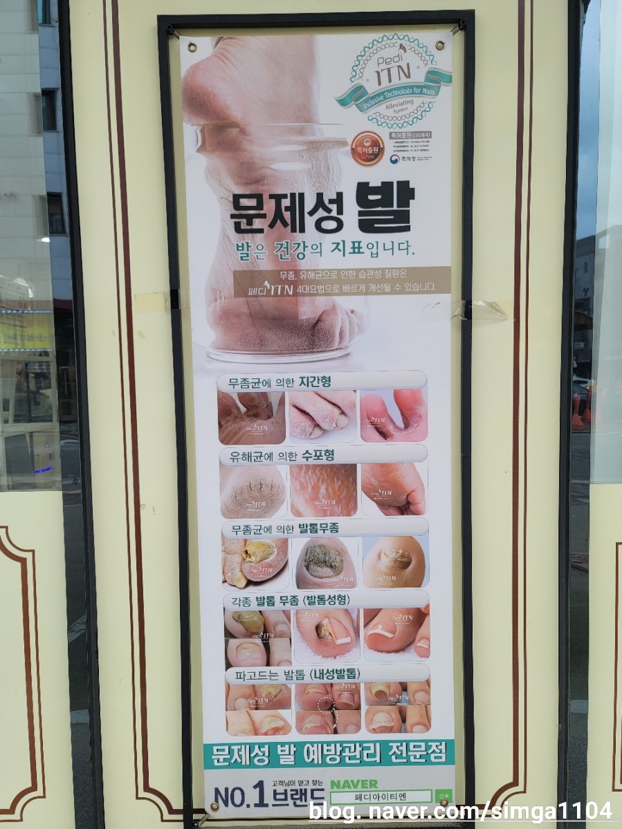 손토비발토비 이미지