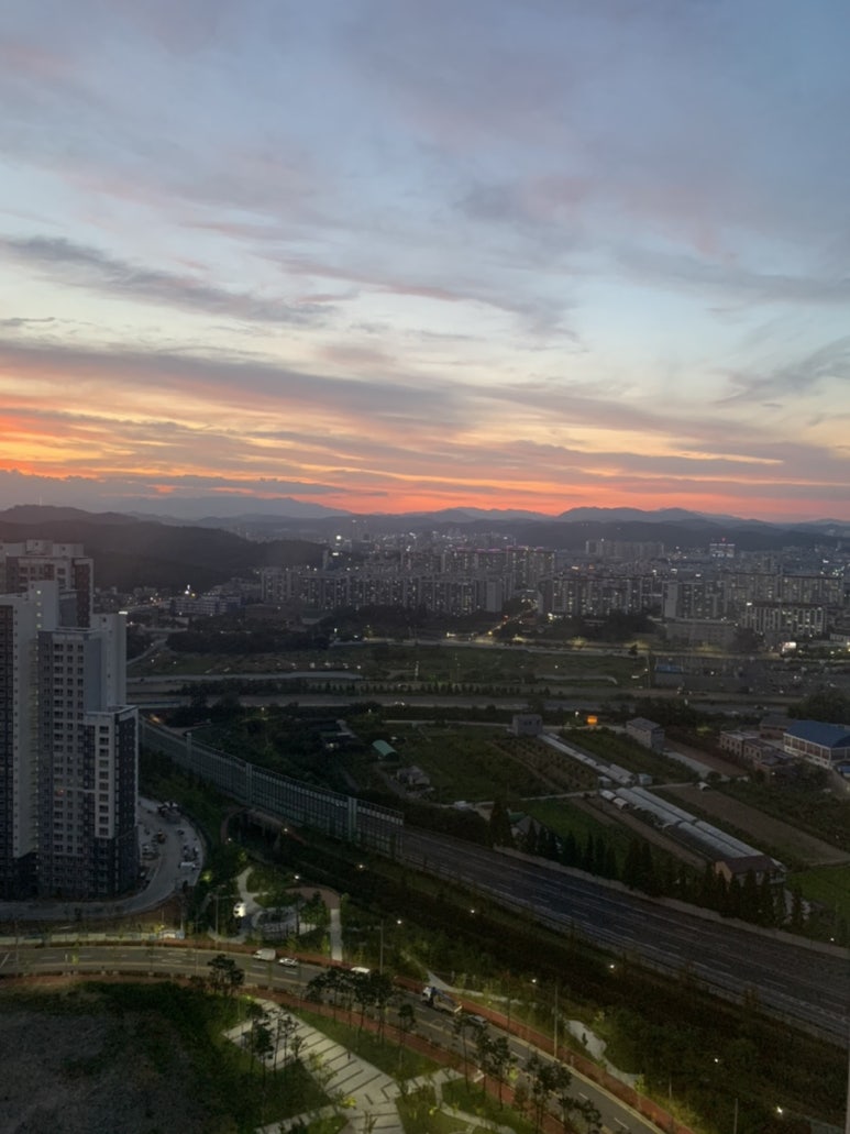 춤추는불닭발 이미지
