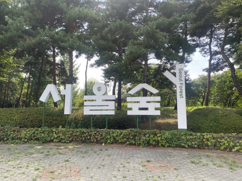 블루테라스 이미지